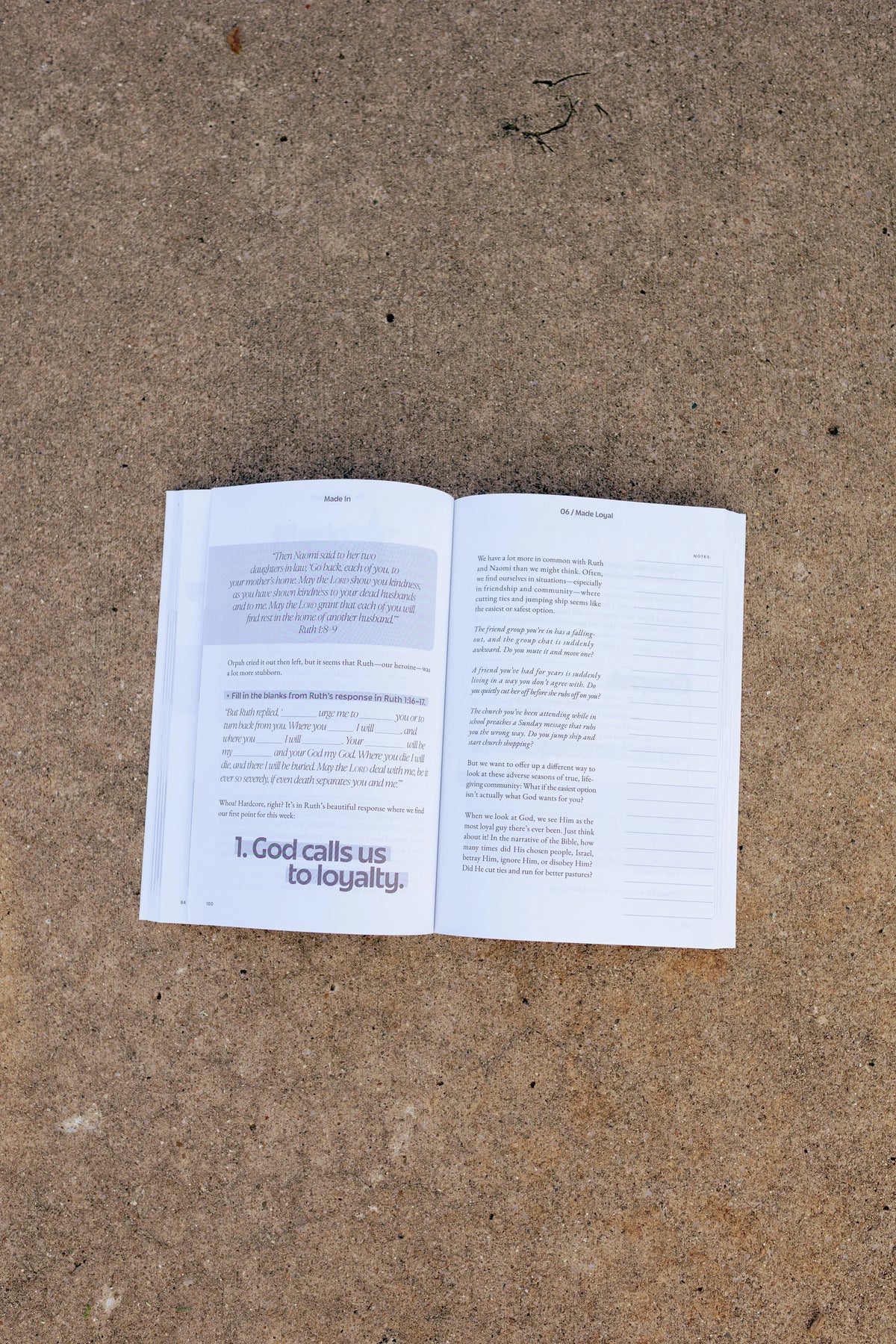 NEW: Made In: A Study of Women in the Bible