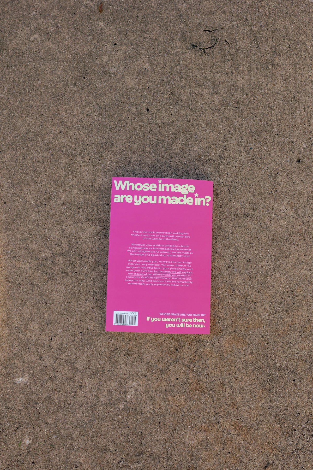 NEW: Made In: A Study of Women in the Bible